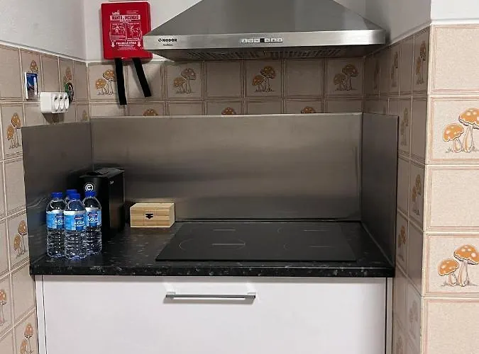 Apartment Casas Dona Emilia Vieira de Leiria